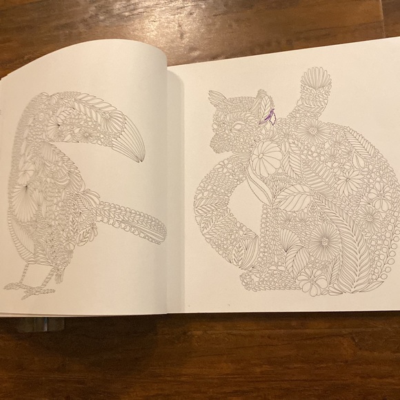 2 Coloring Books: Tropical World: A Coloring Book Adventure + Christmas to Color - Picture 7 of 11